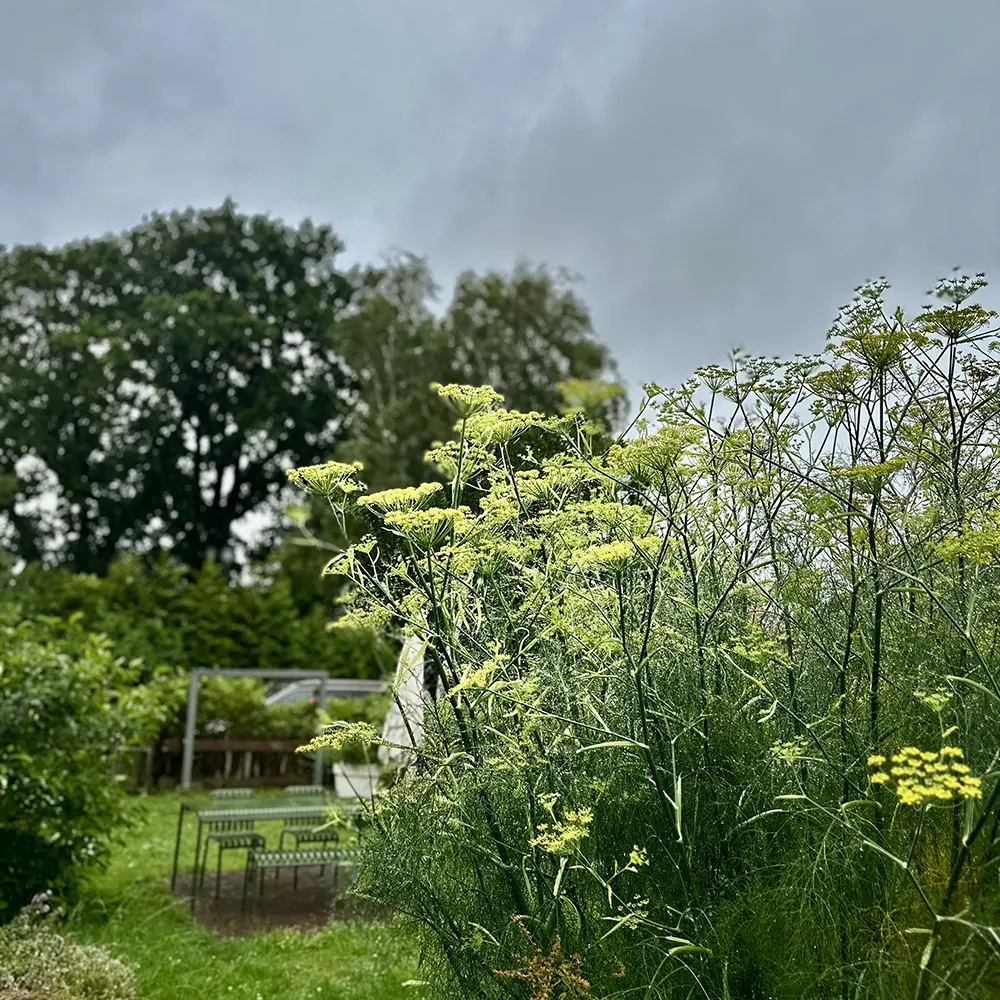 Landloft Ilse Garten